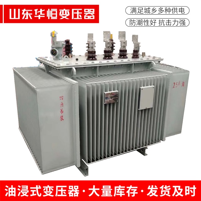 S13-10000/35临河临河临河电力变压器厂家