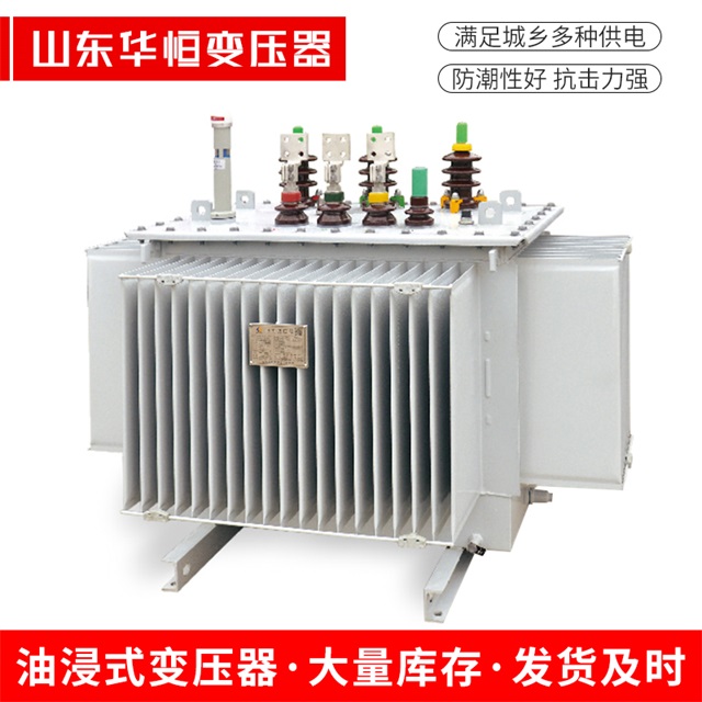 S13-10000/35临河临河临河电力变压器